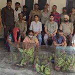 जगदलपुर में वन विभाग टीम पर हमला, तोतों की अवैध बिक्री पर कार्रवाई के दौरान हंगामा