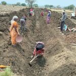 पुष्पराजगढ़में ‘जल गंगा संवर्धन अभियान’ से हो रहा है नहर सुदृढ़ीकरण